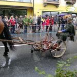Landwirtschaft - Mahn