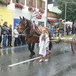 Landwirtschaft - Zsommheig'n