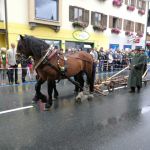 Landwirtschaft - Troad+Erdäpfi