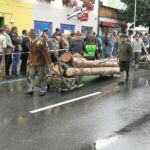 Forstwirtschaft