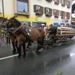 Forstwirtschaft