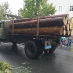 Forstwirtschaft
