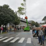 Forstwirtschaft