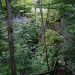 Die dunkle Klamm