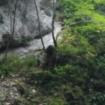 Klammgeist der dunklen Klamm
